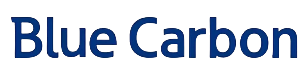 بلو كاربون Blue Carbon مع ألترا سولار: اختر طاقة التخزين لا شكل الصندوق